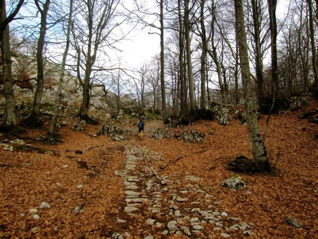 Zegama