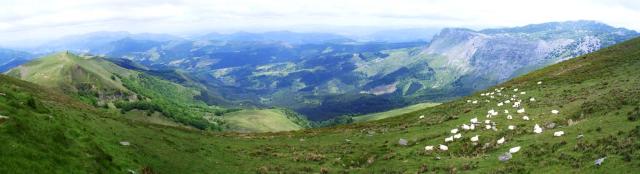 Arraba Izarra