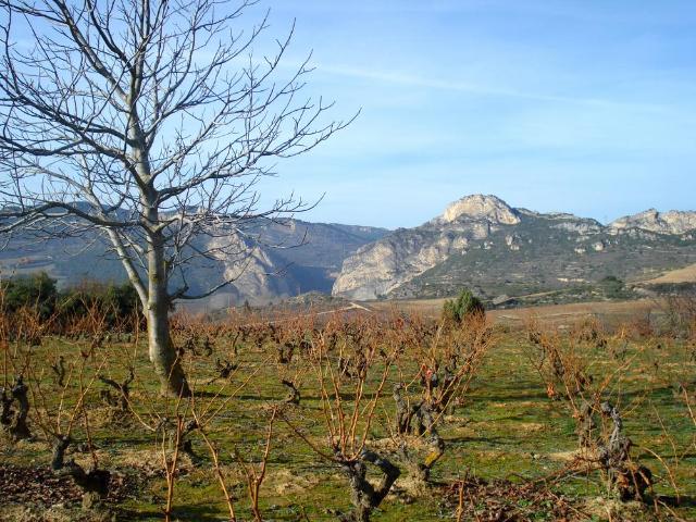 Ruta cercana