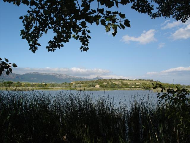 Ruta cercana