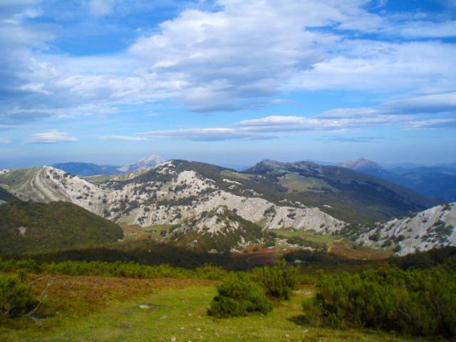 Ruta cercana