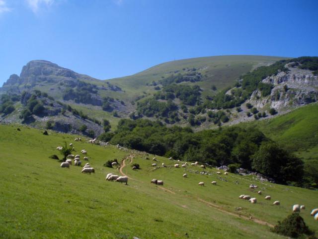 Ruta cercana